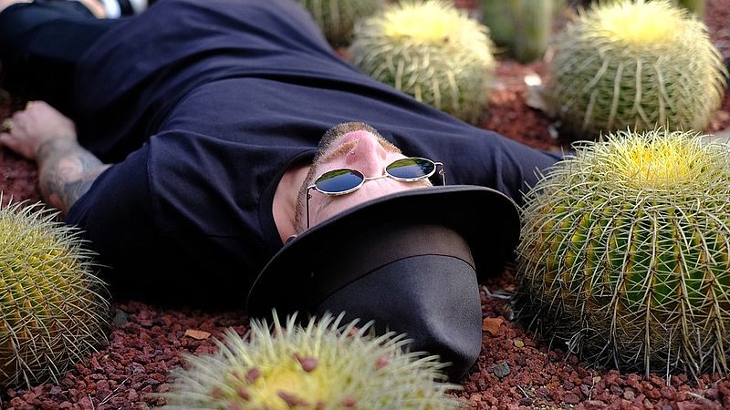 man sleeping in a field of cacti