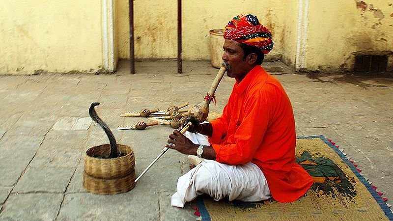 indian man playing the flute with a snake