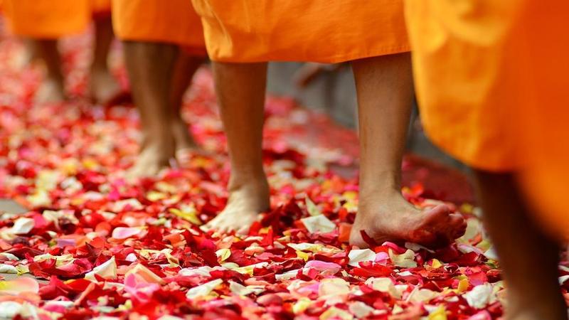 monks walking on a path of rose leaves 
